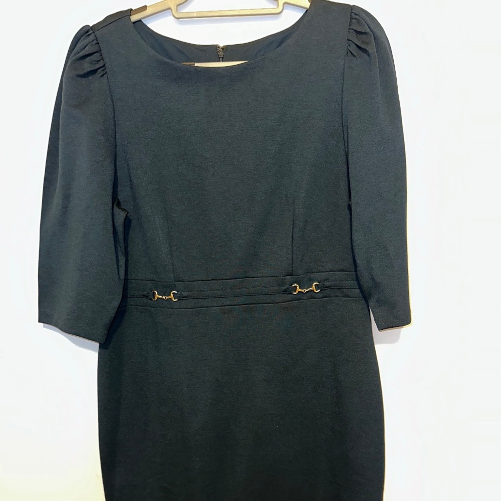 Ann Taylor Belted Shift Dress